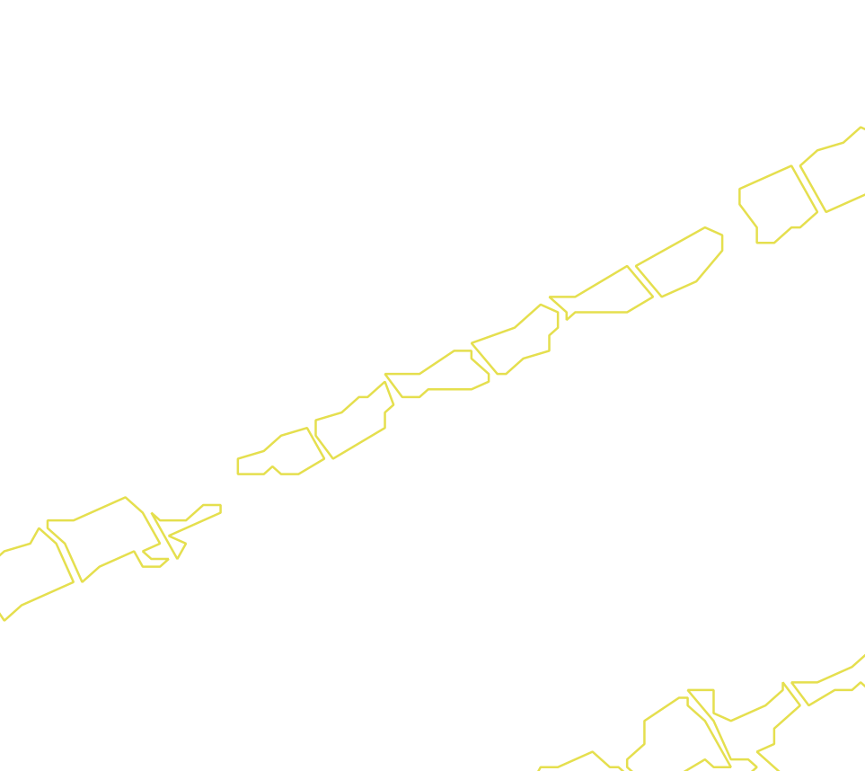 Daksegment met contourlijnen en structuurweergave