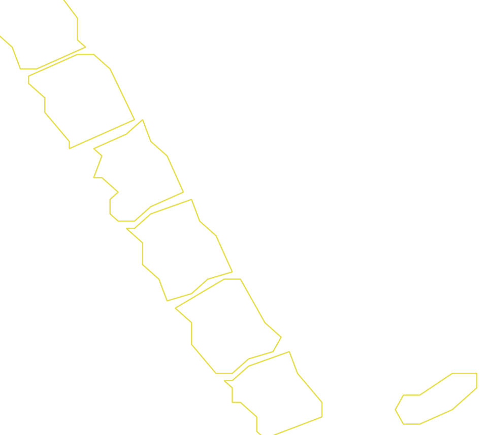 Daksegment ingezoomd met contourlijnen en structuurweergave
