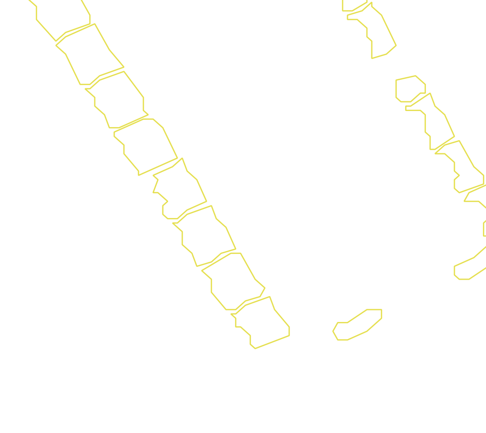 Daksegment met contourlijnen en structuurweergave