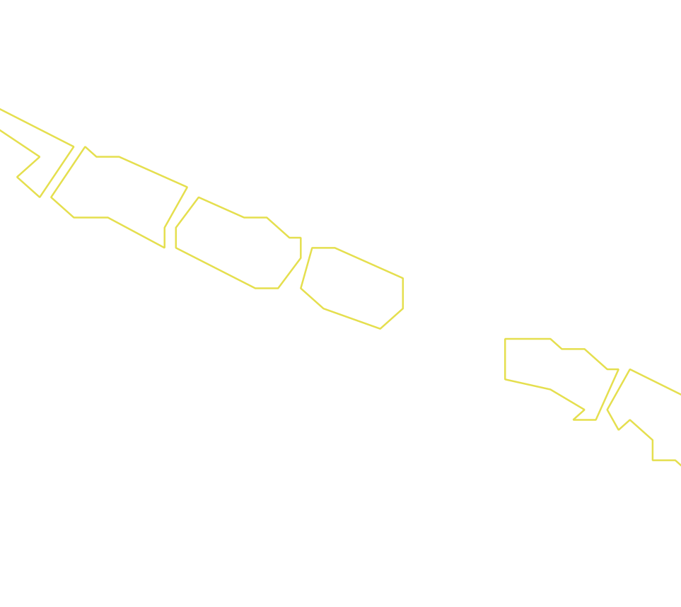 Daksegment ingezoomd met contourlijnen en structuurweergave