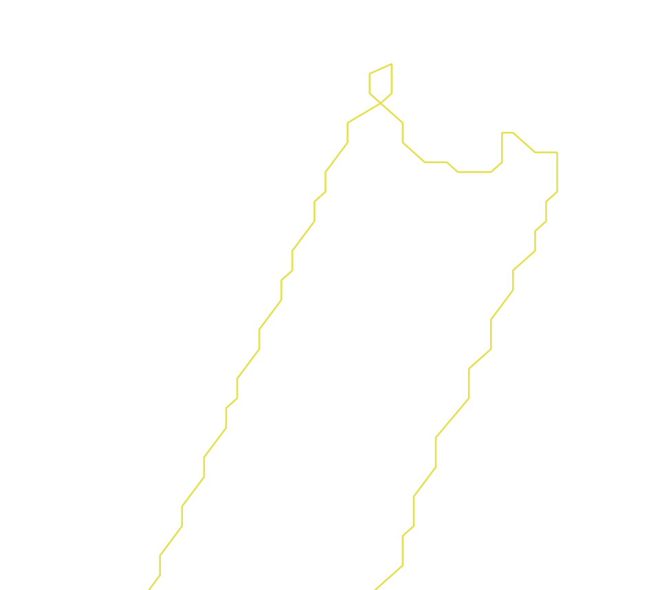 Daksegment ingezoomd met contourlijnen en structuurweergave