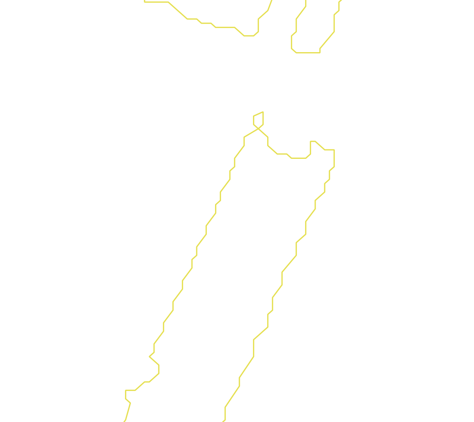 Daksegment met contourlijnen en structuurweergave
