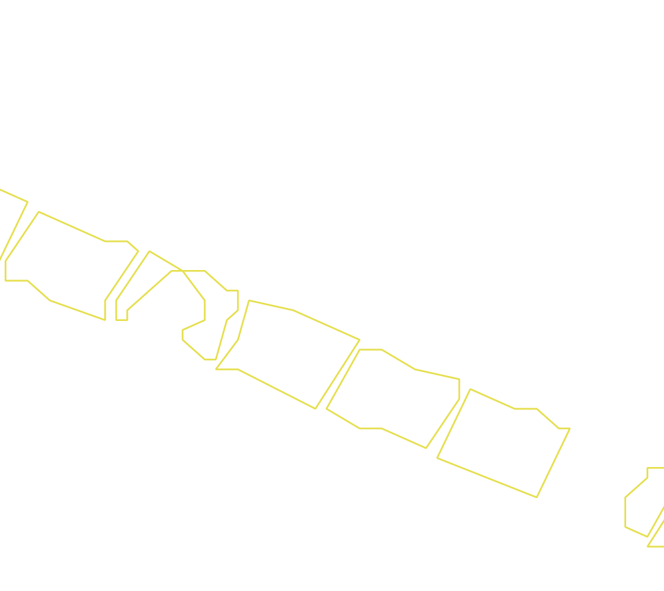 Daksegment ingezoomd met contourlijnen en structuurweergave