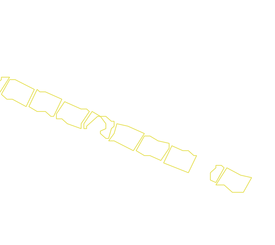 Daksegment met contourlijnen en structuurweergave