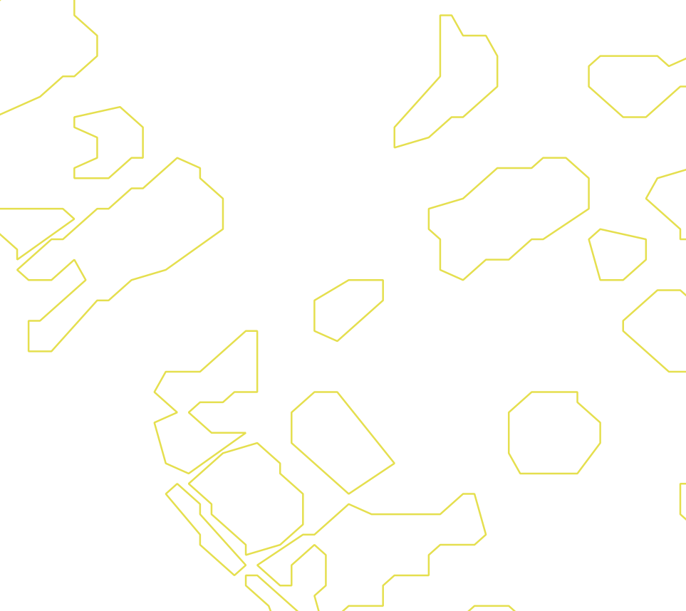 Daksegment ingezoomd met contourlijnen en structuurweergave
