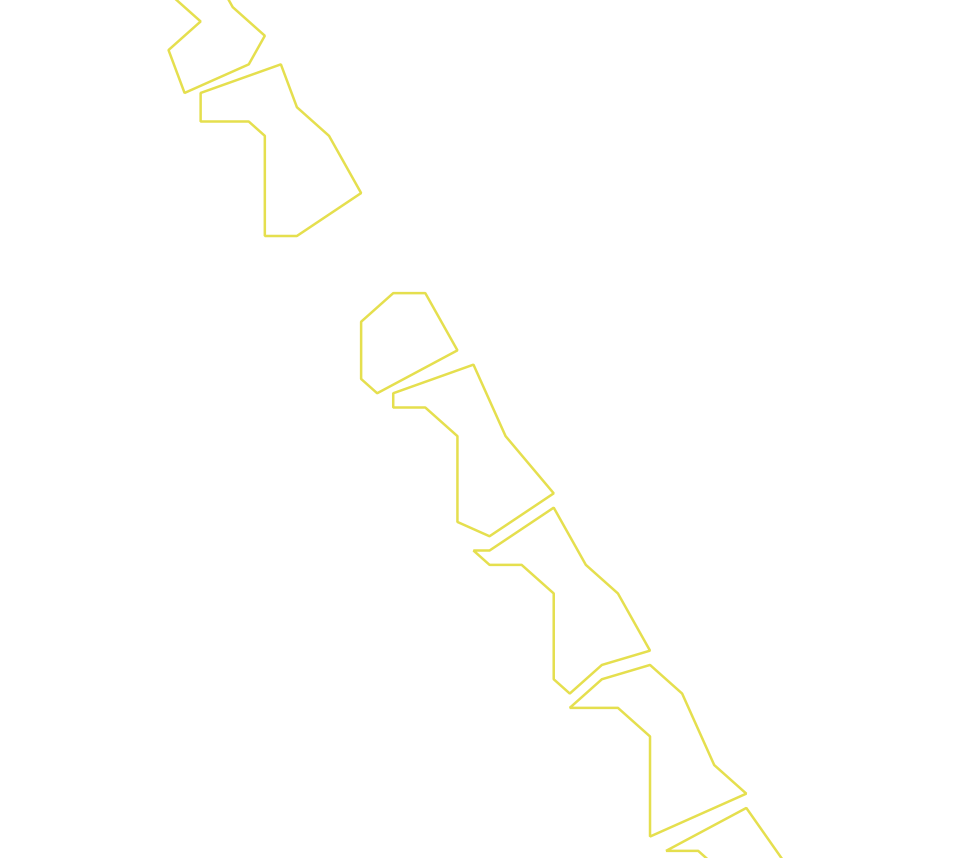Daksegment ingezoomd met contourlijnen en structuurweergave