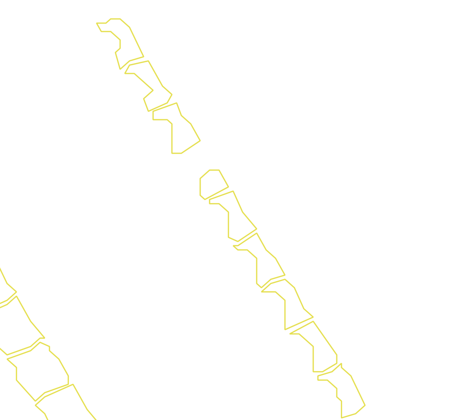 Daksegment met contourlijnen en structuurweergave
