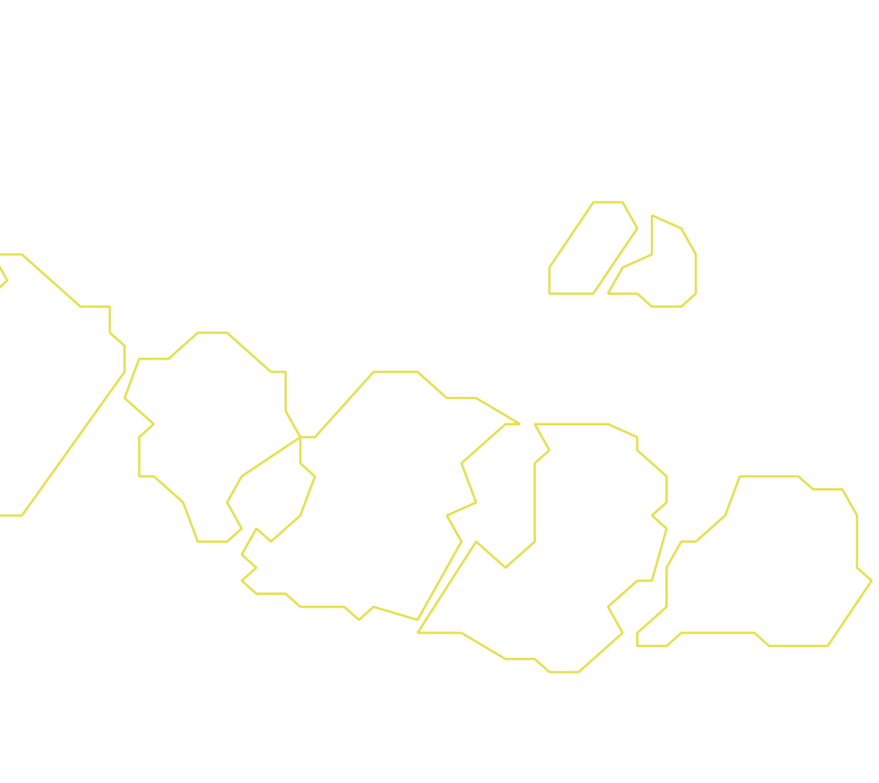 Daksegment ingezoomd met contourlijnen en structuurweergave