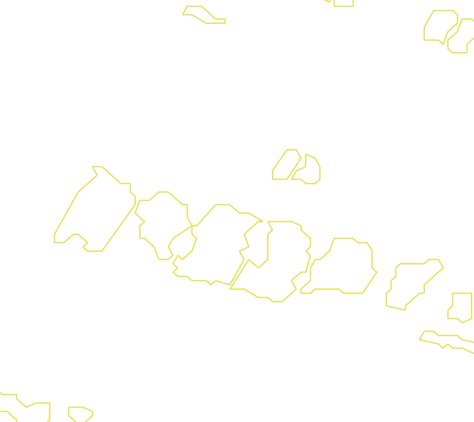 Daksegment met contourlijnen en structuurweergave