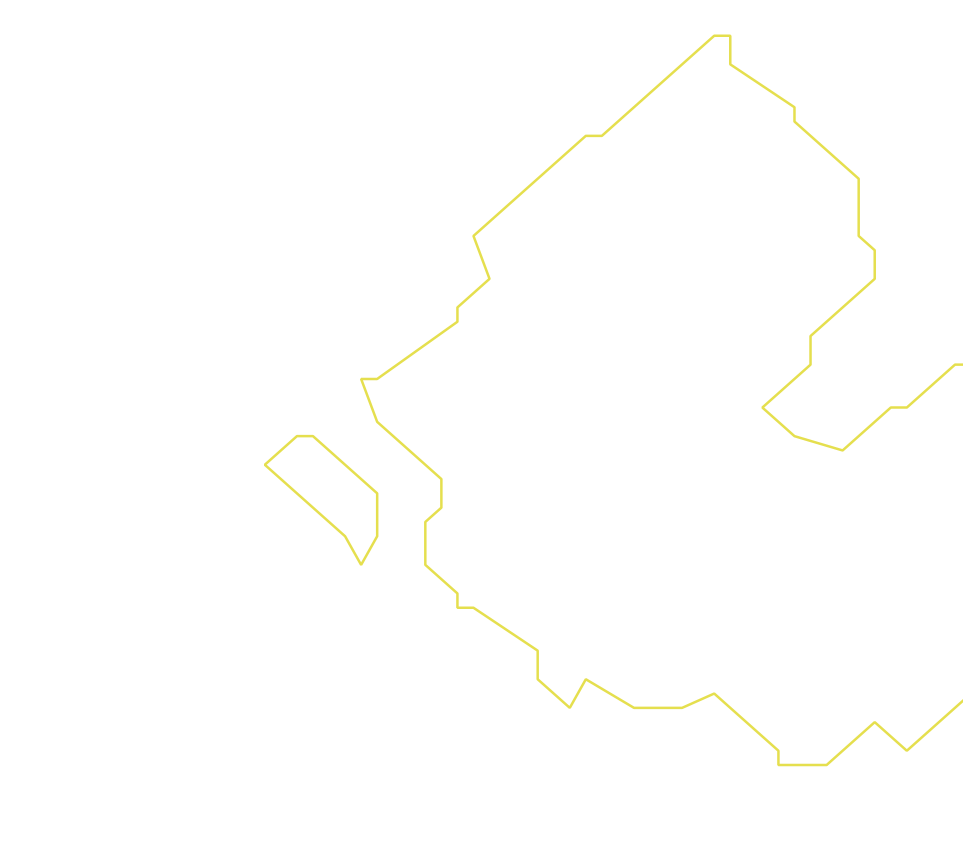 Daksegment ingezoomd met contourlijnen en structuurweergave