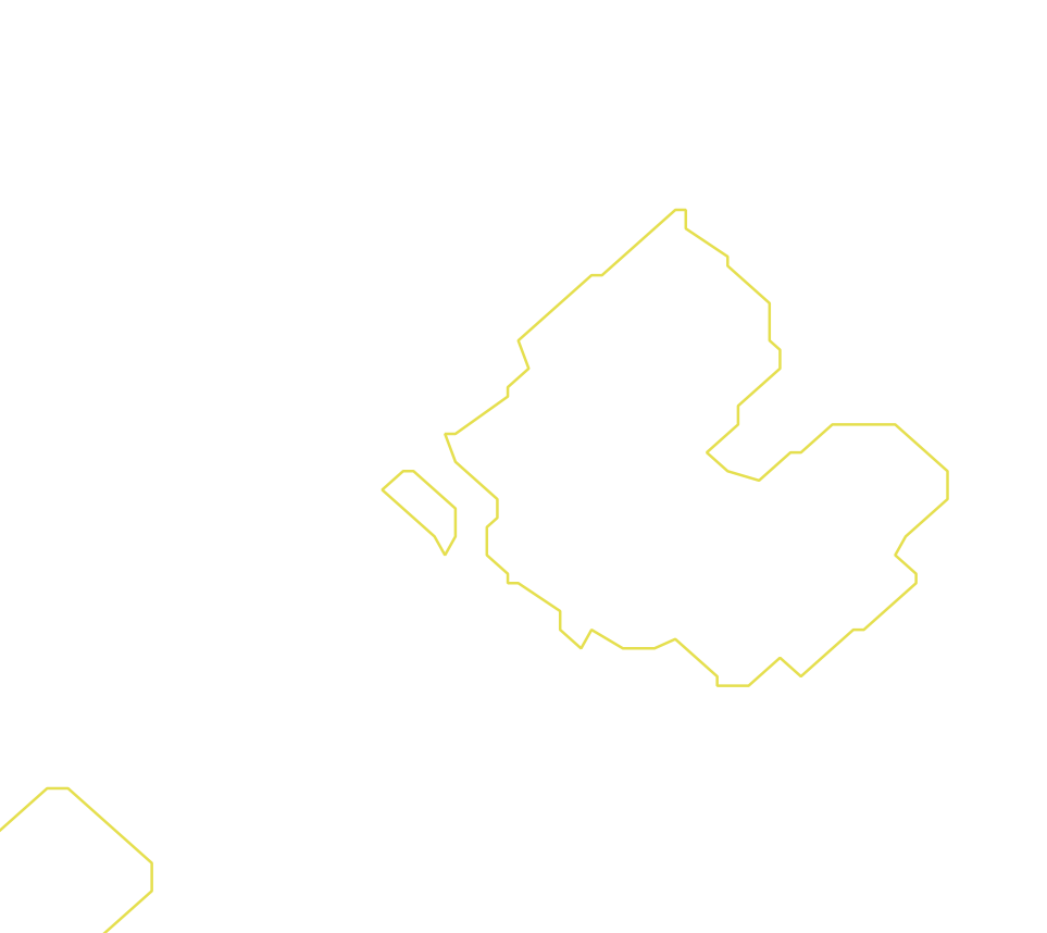 Daksegment met contourlijnen en structuurweergave