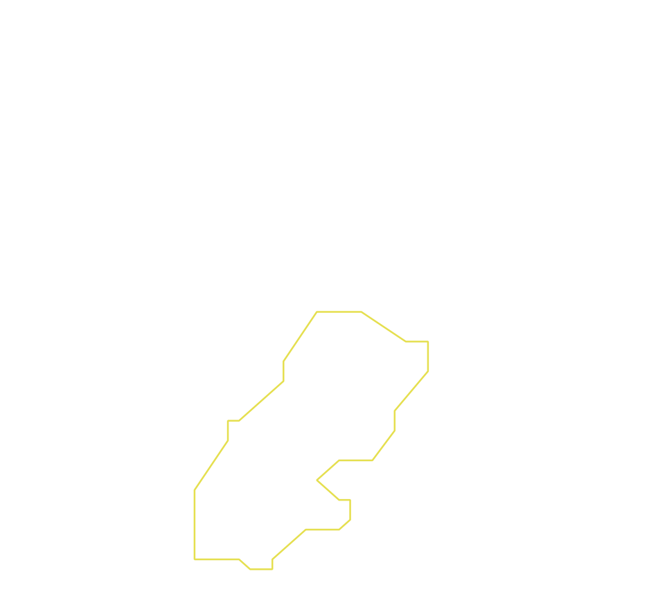 Daksegment ingezoomd met contourlijnen en structuurweergave