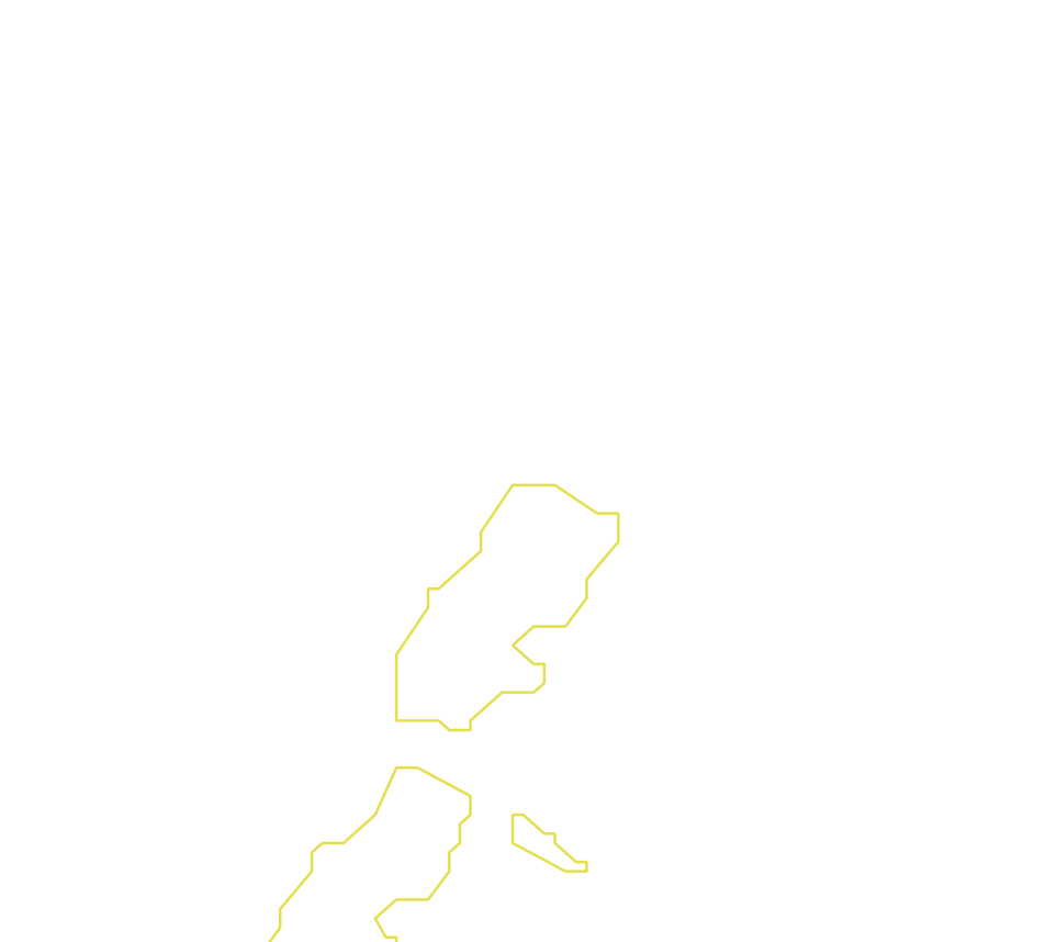 Daksegment met contourlijnen en structuurweergave