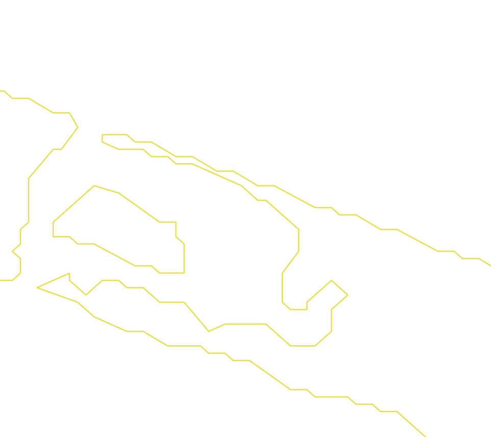 Daksegment ingezoomd met contourlijnen en structuurweergave