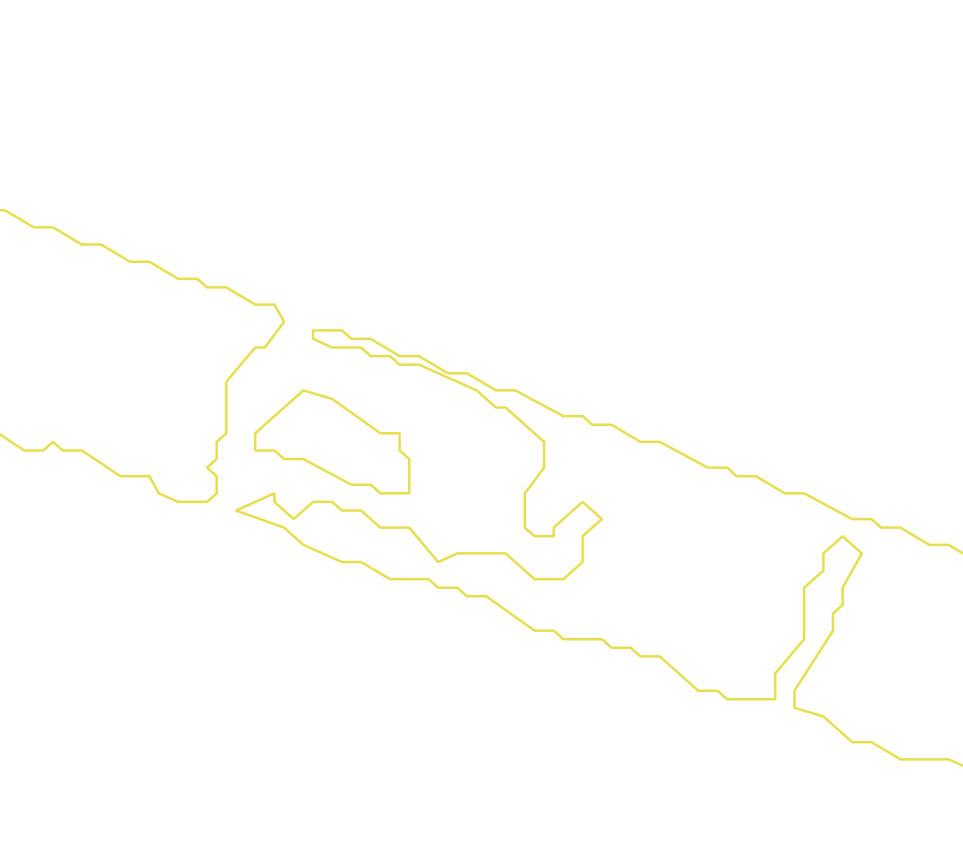 Daksegment met contourlijnen en structuurweergave