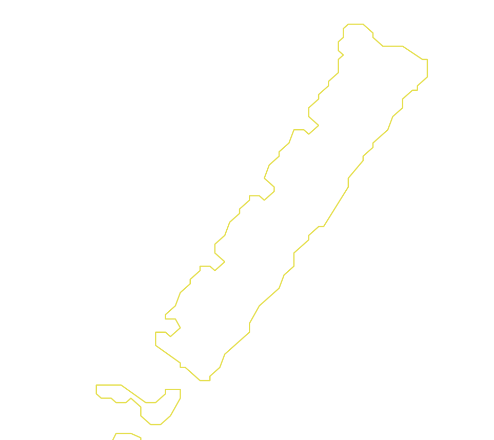 Daksegment met contourlijnen en structuurweergave