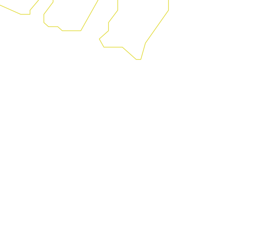 Daksegment ingezoomd met contourlijnen en structuurweergave