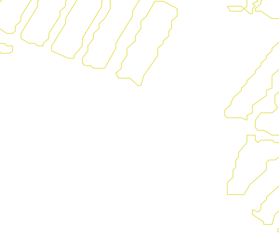 Daksegment met contourlijnen en structuurweergave