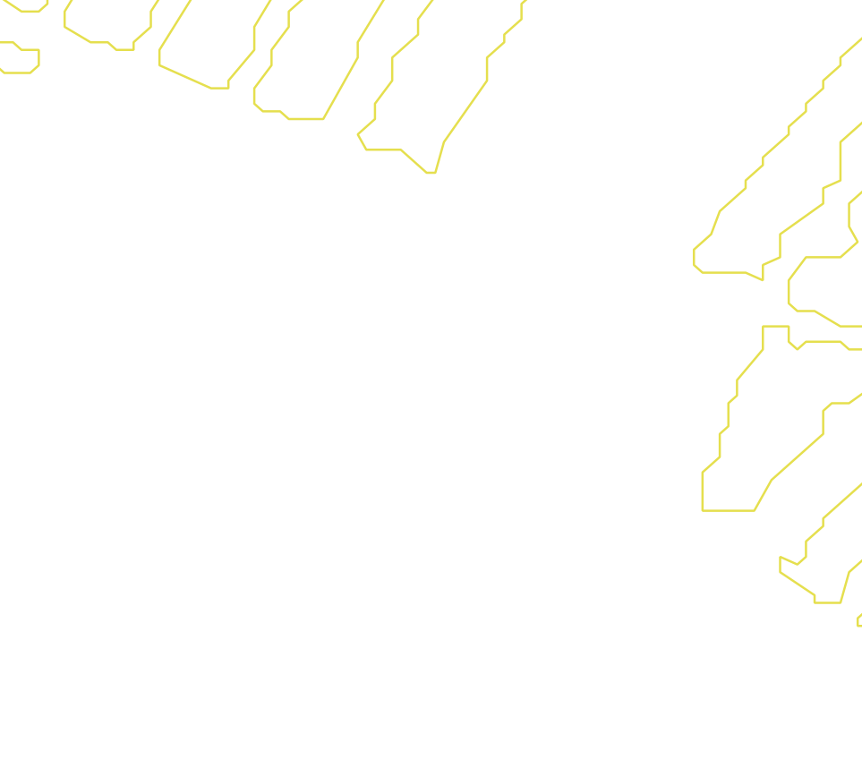 Daksegment met contourlijnen en structuurweergave