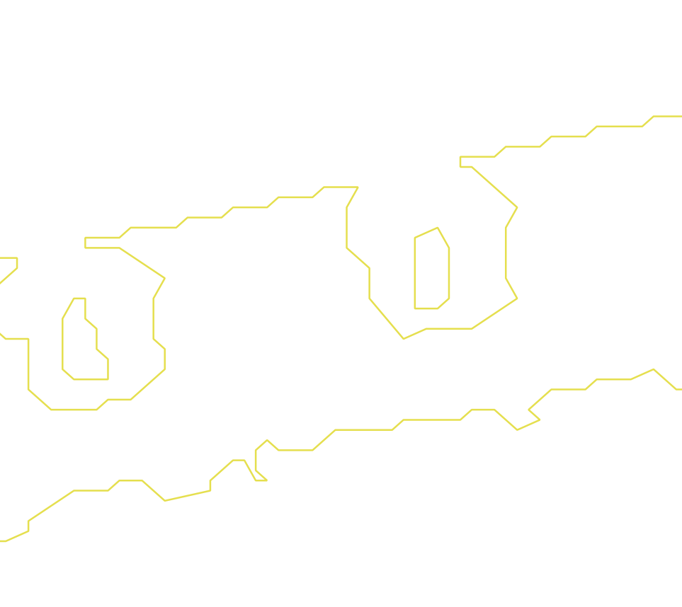 Daksegment ingezoomd met contourlijnen en structuurweergave