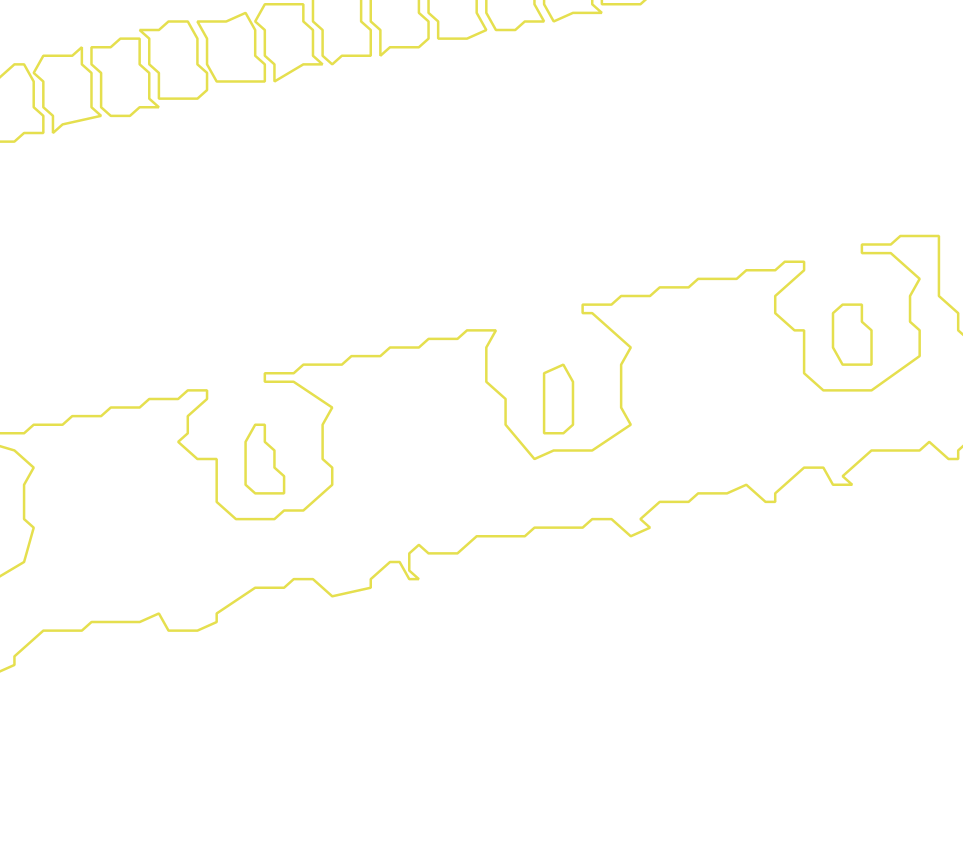 Daksegment met contourlijnen en structuurweergave