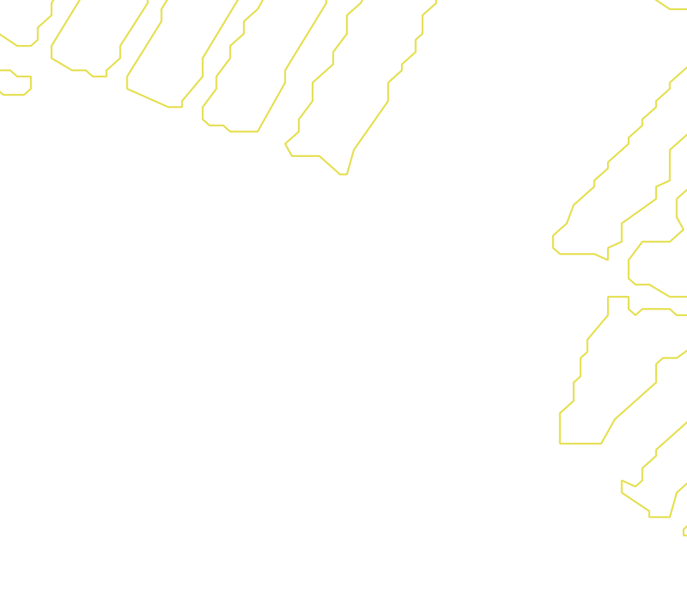 Daksegment met contourlijnen en structuurweergave