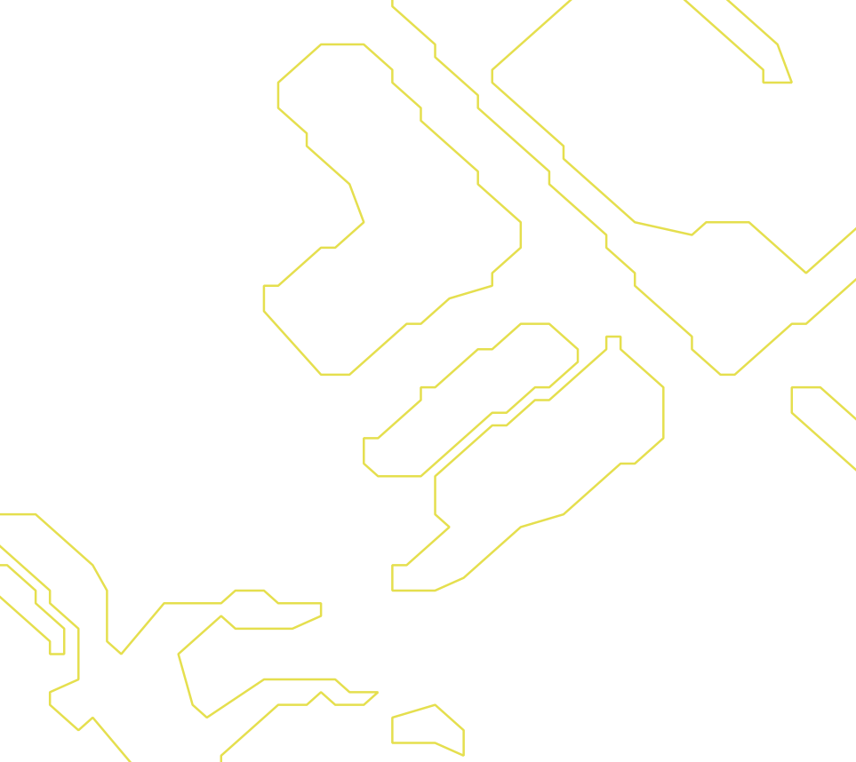 Daksegment ingezoomd met contourlijnen en structuurweergave