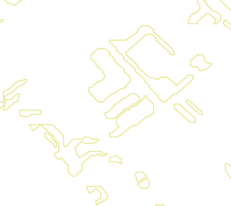 Daksegment met contourlijnen en structuurweergave