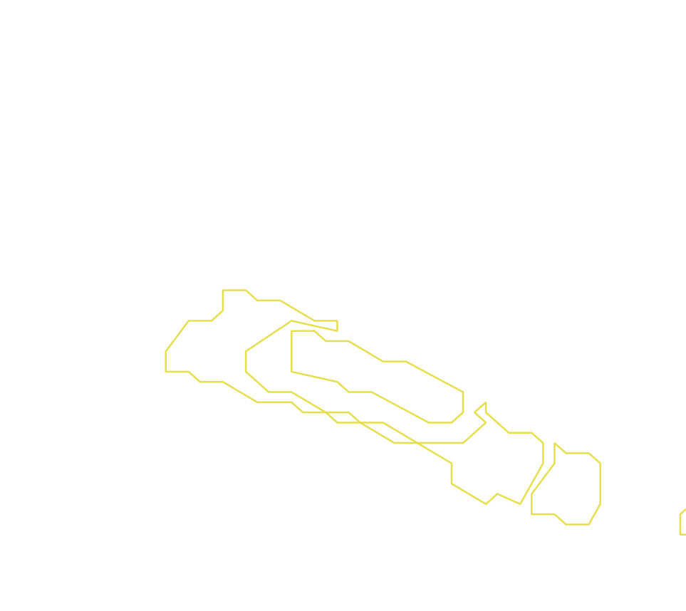 Daksegment ingezoomd met contourlijnen en structuurweergave