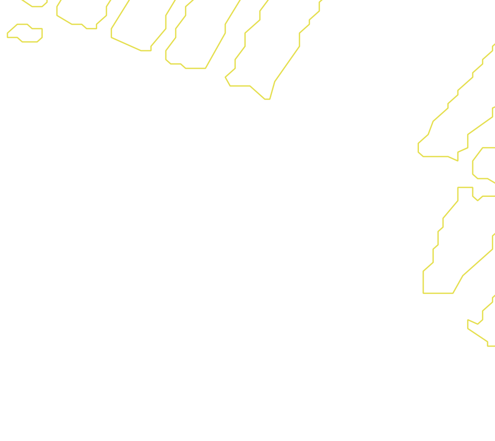 Daksegment met contourlijnen en structuurweergave