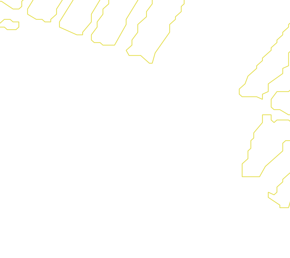 Daksegment met contourlijnen en structuurweergave