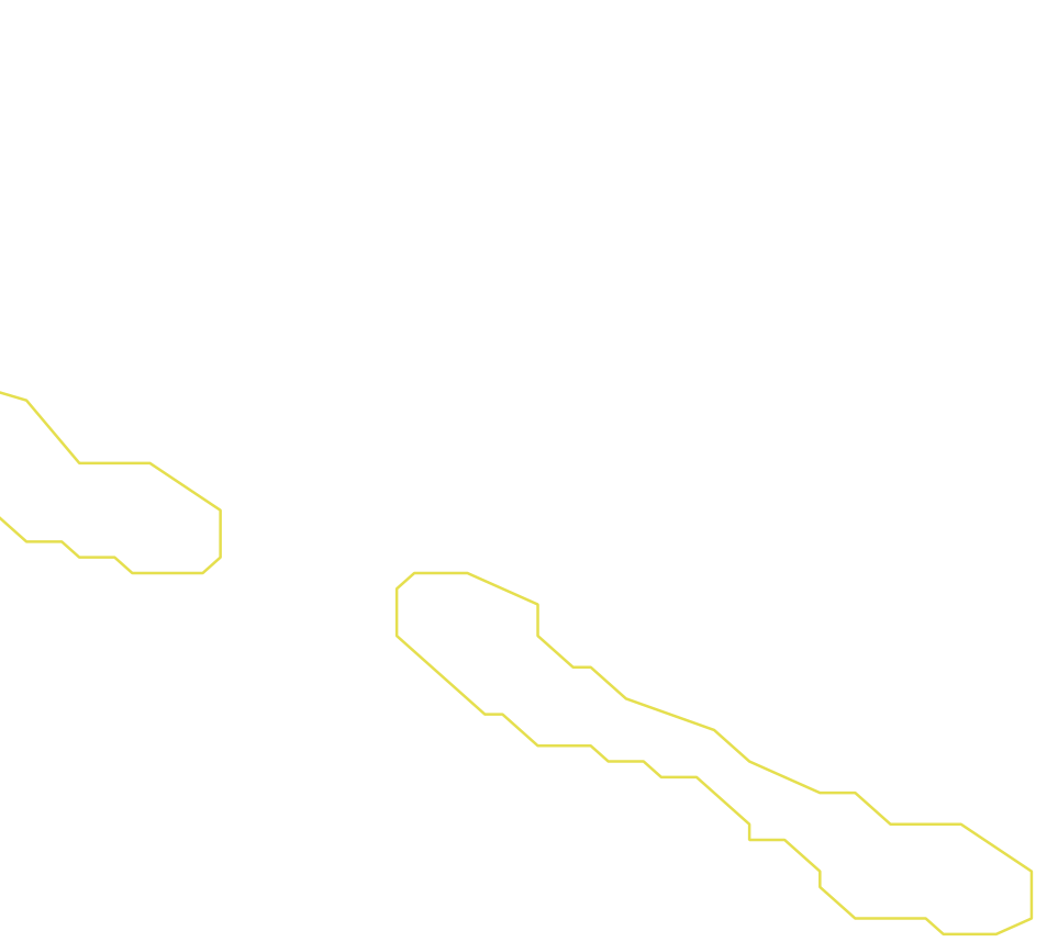 Daksegment ingezoomd met contourlijnen en structuurweergave