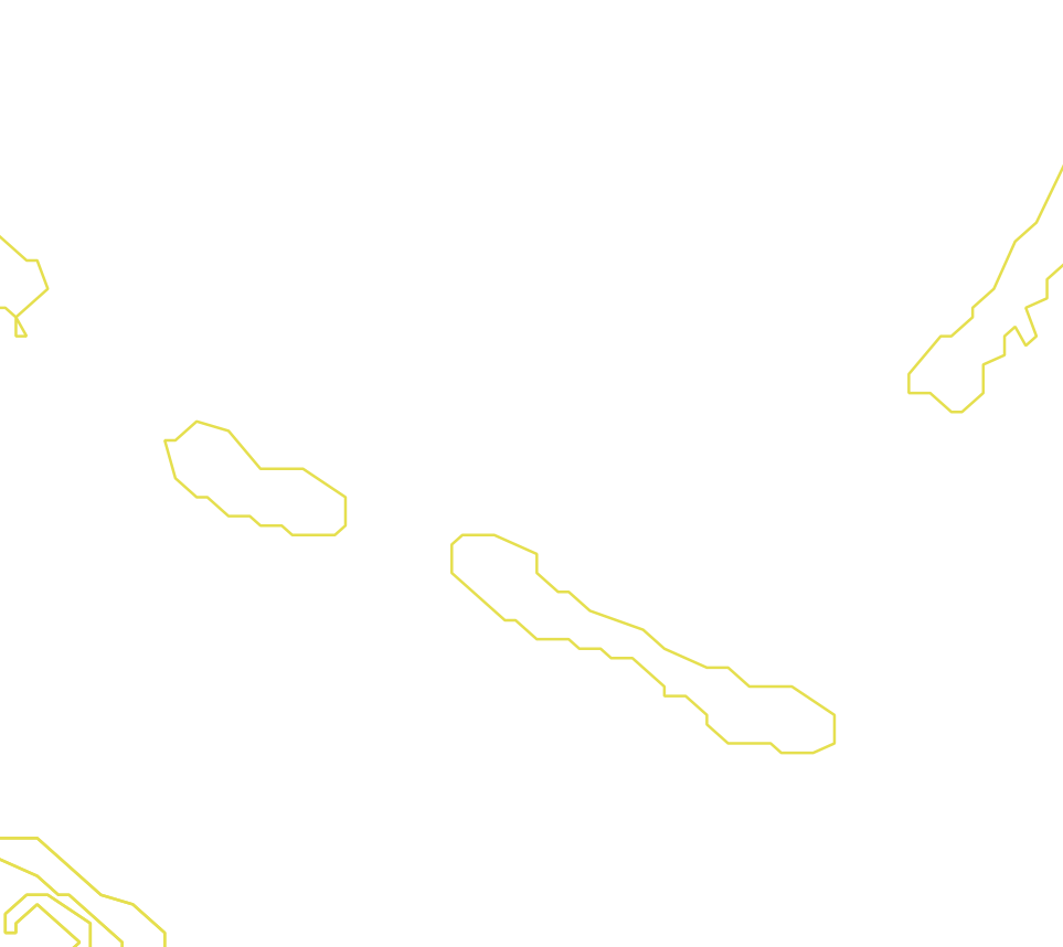 Daksegment met contourlijnen en structuurweergave