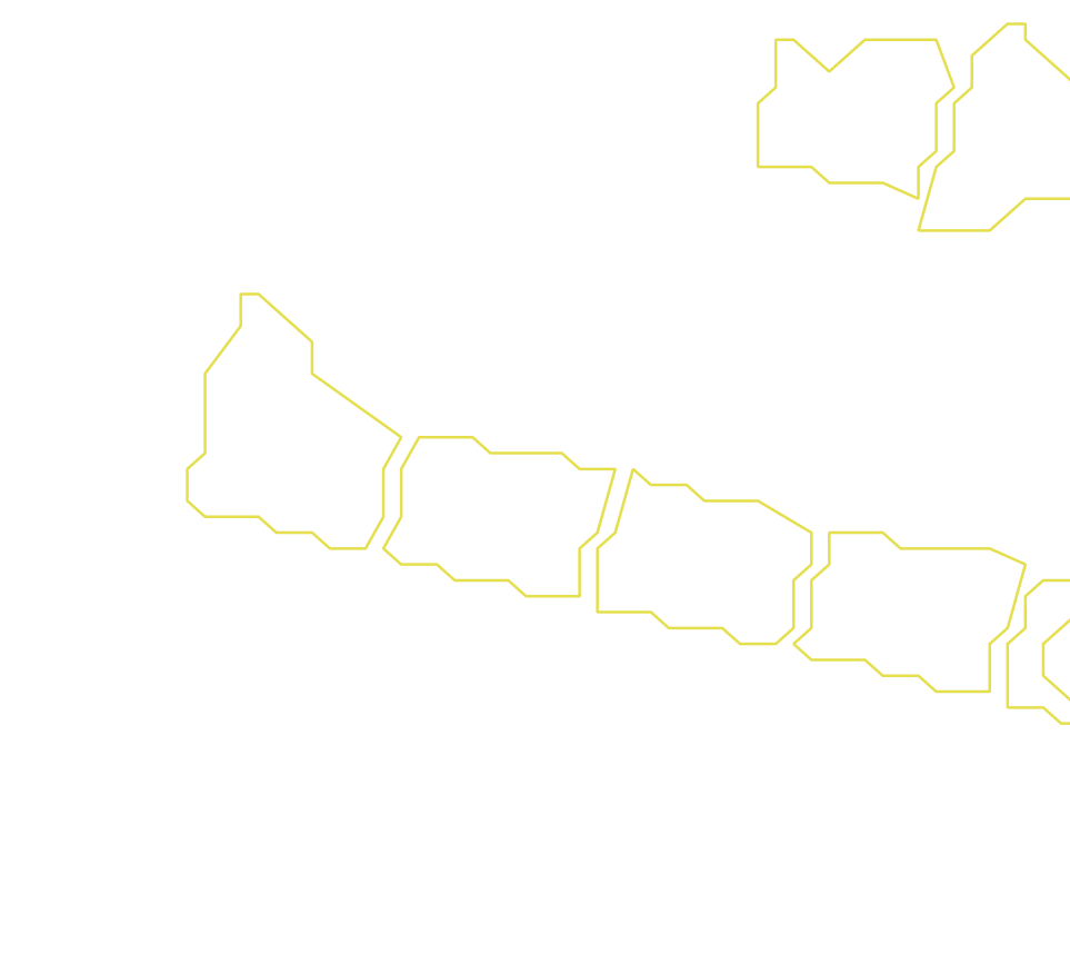 Daksegment ingezoomd met contourlijnen en structuurweergave