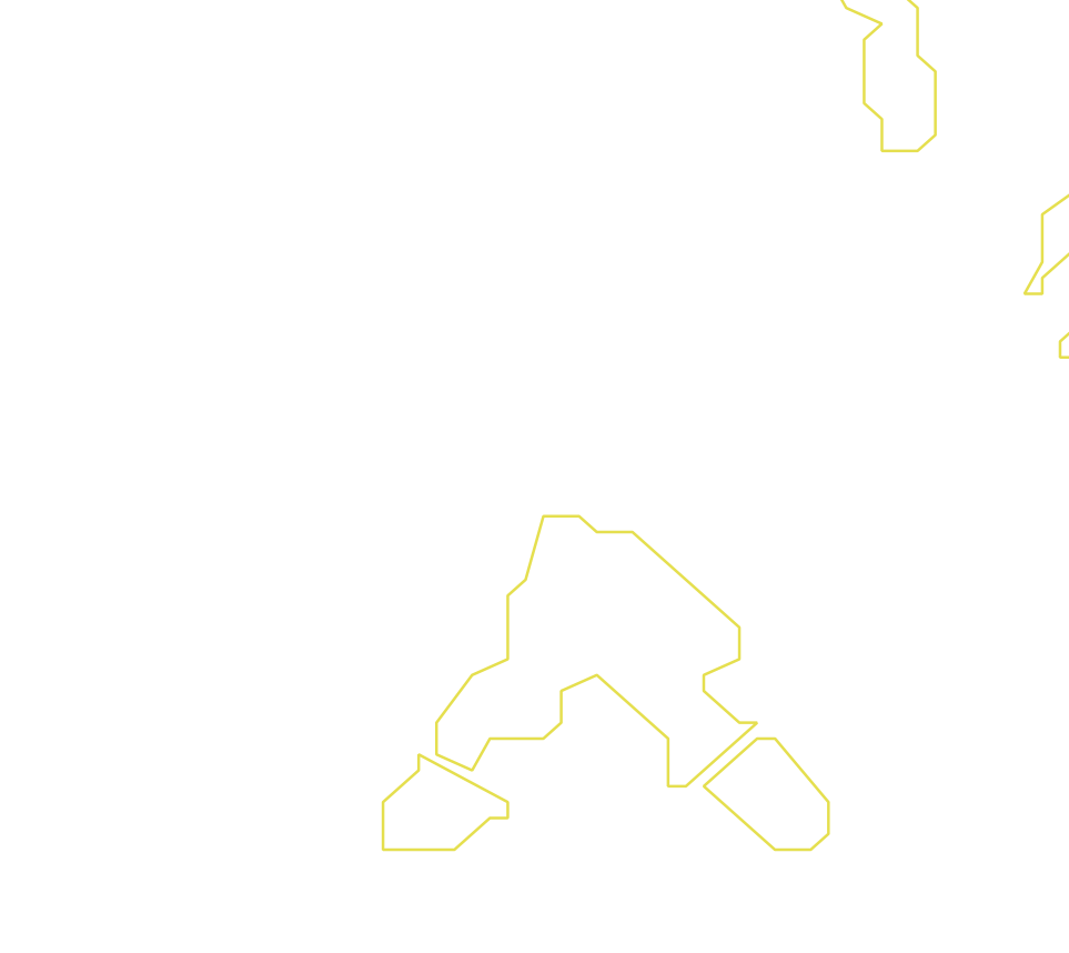 Daksegment ingezoomd met contourlijnen en structuurweergave