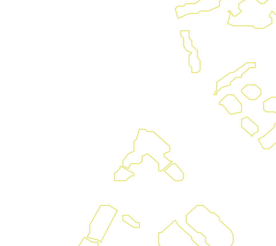 Daksegment met contourlijnen en structuurweergave