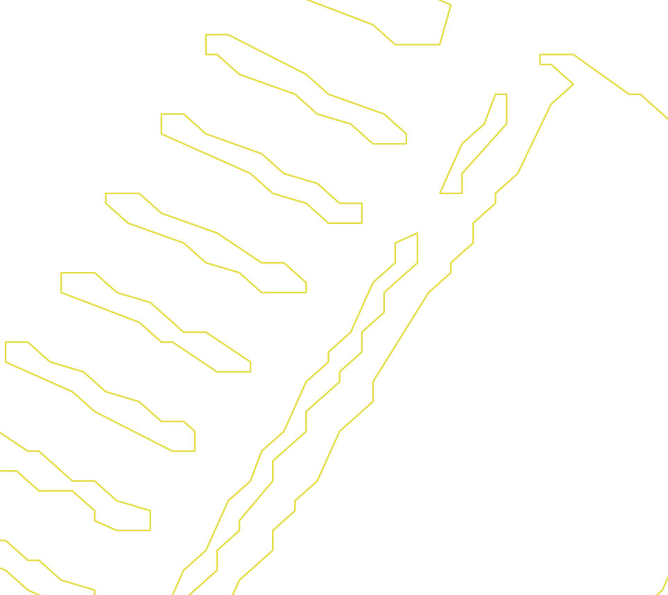Daksegment ingezoomd met contourlijnen en structuurweergave