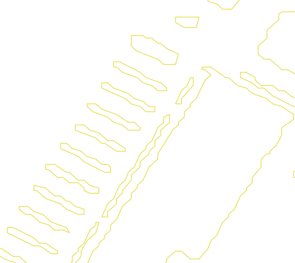 Daksegment met contourlijnen en structuurweergave
