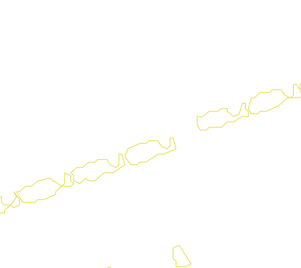 Daksegment met contourlijnen en structuurweergave