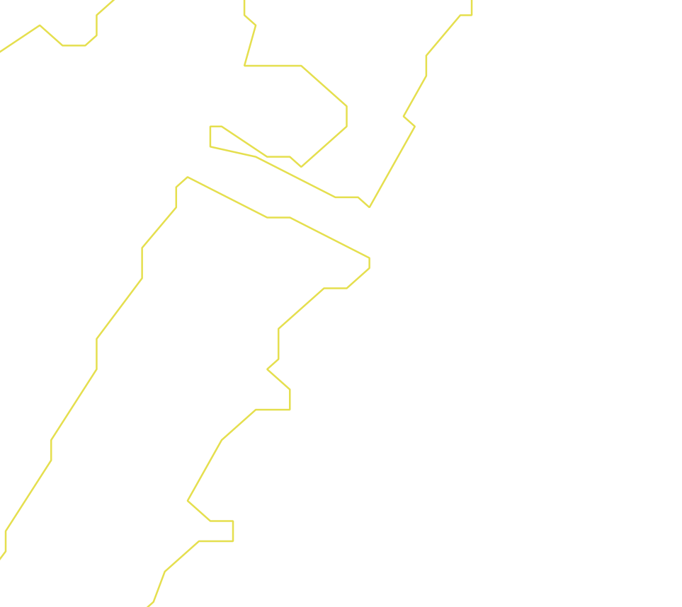 Daksegment ingezoomd met contourlijnen en structuurweergave