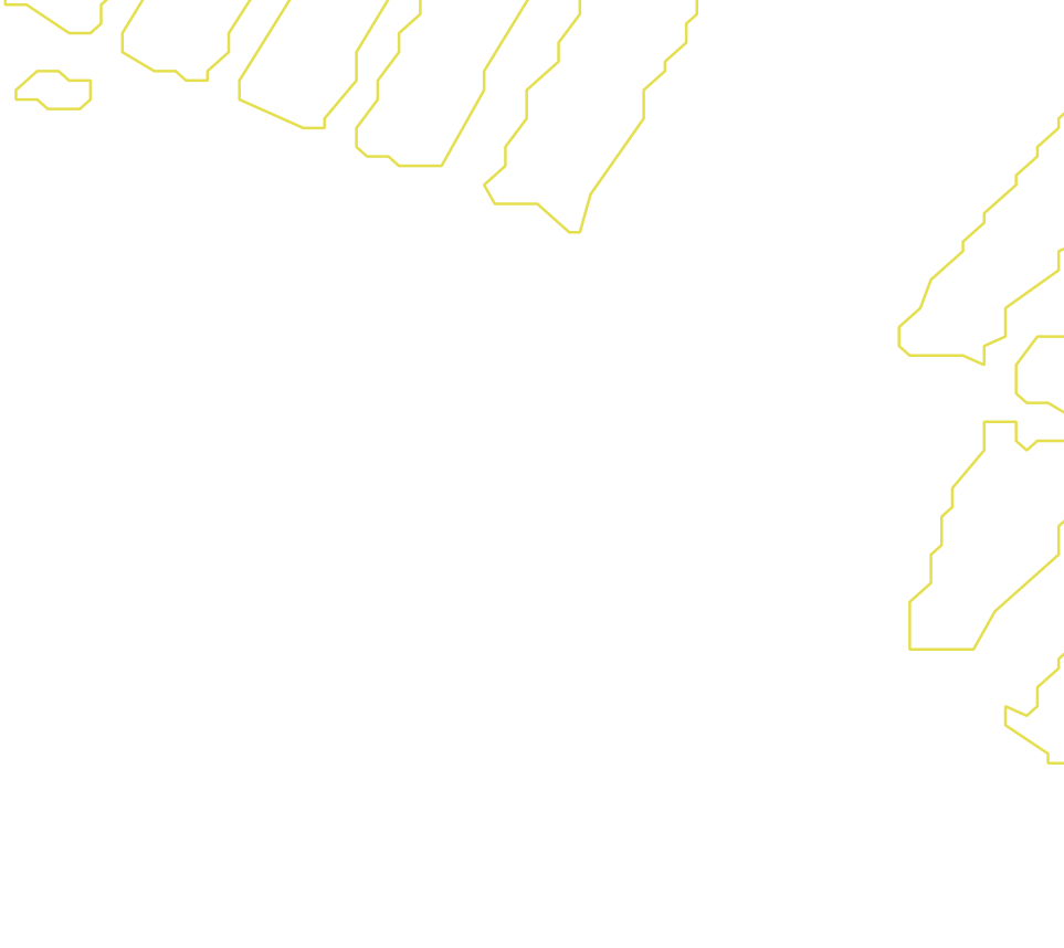 Daksegment met contourlijnen en structuurweergave