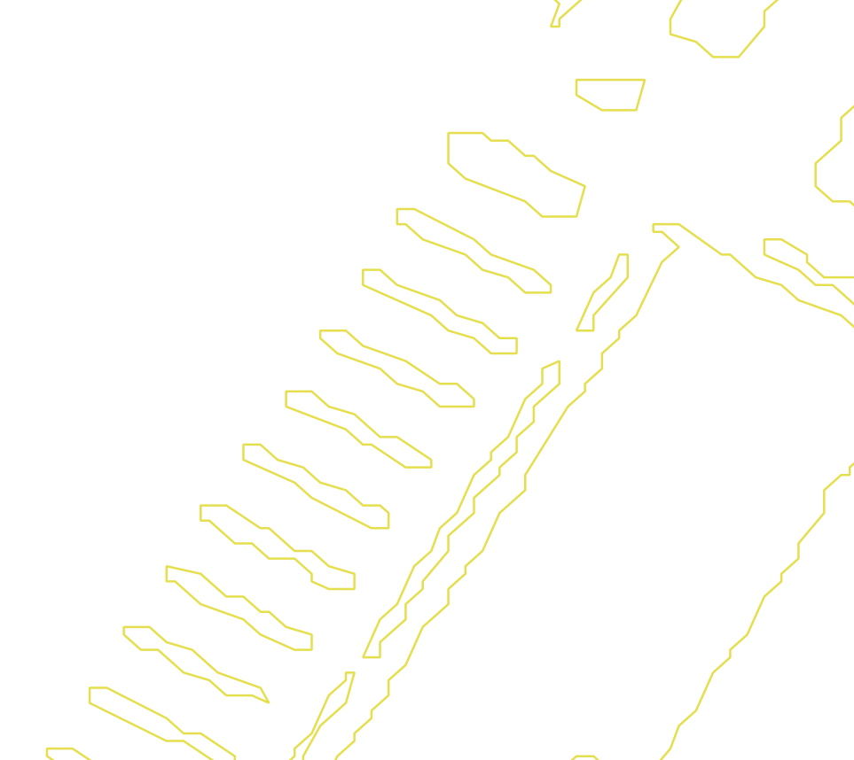 Daksegment met contourlijnen en structuurweergave
