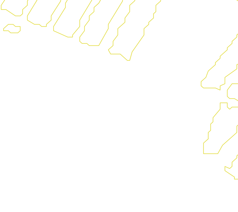 Daksegment met contourlijnen en structuurweergave