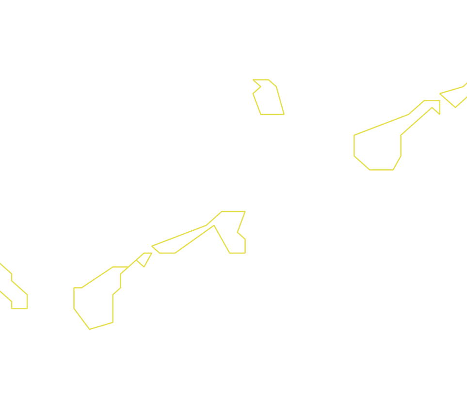 Daksegment ingezoomd met contourlijnen en structuurweergave