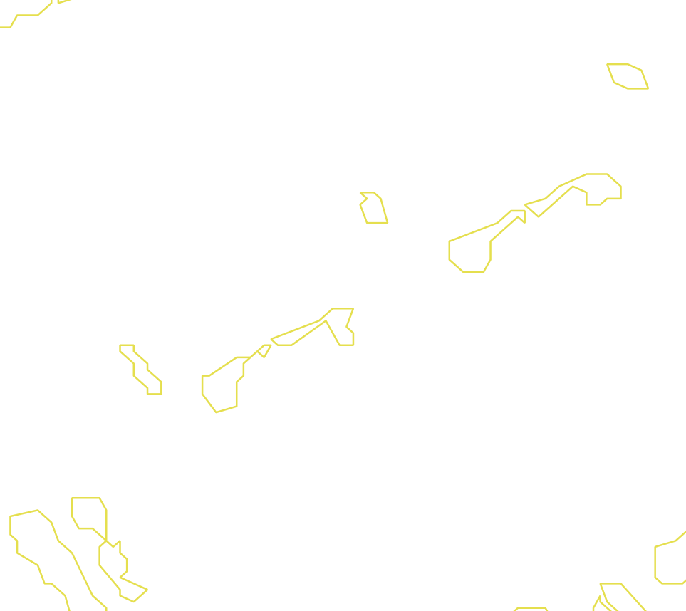 Daksegment met contourlijnen en structuurweergave