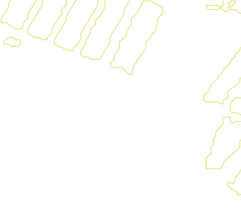 Daksegment met contourlijnen en structuurweergave