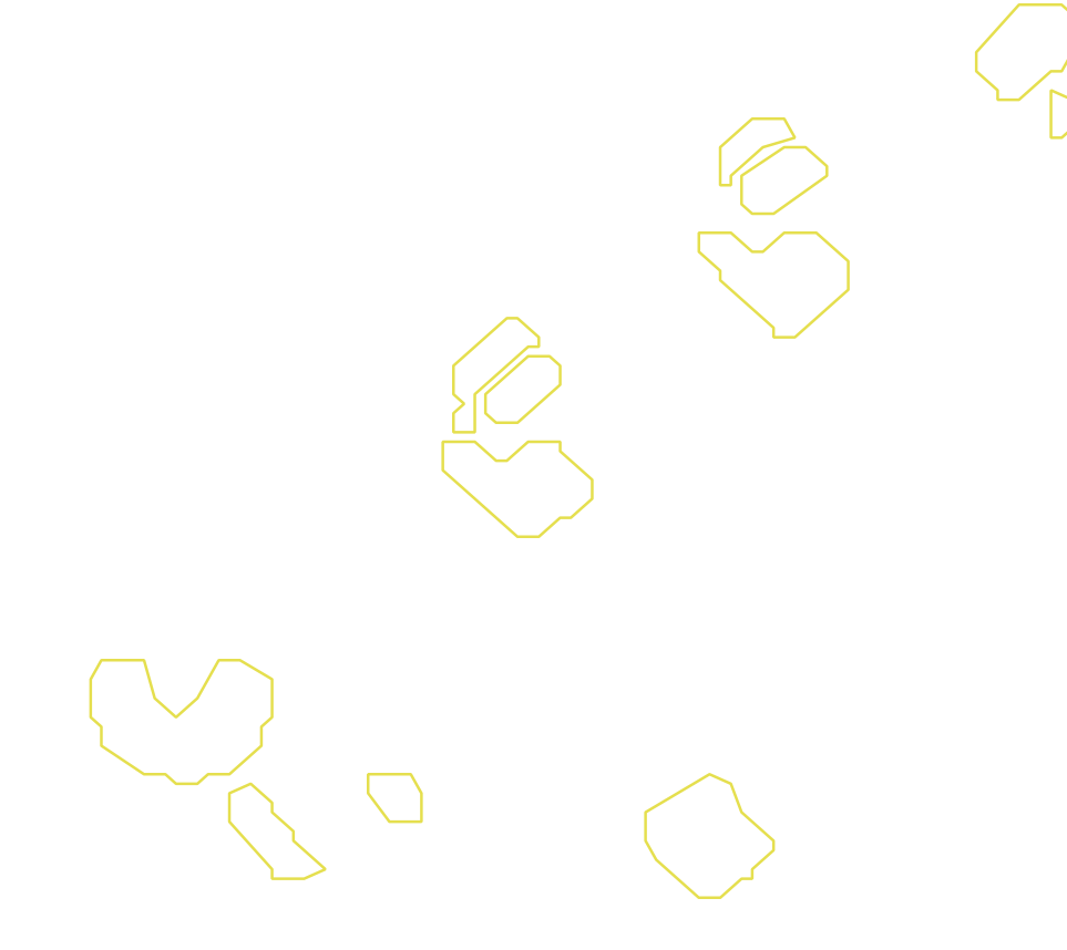 Daksegment met contourlijnen en structuurweergave
