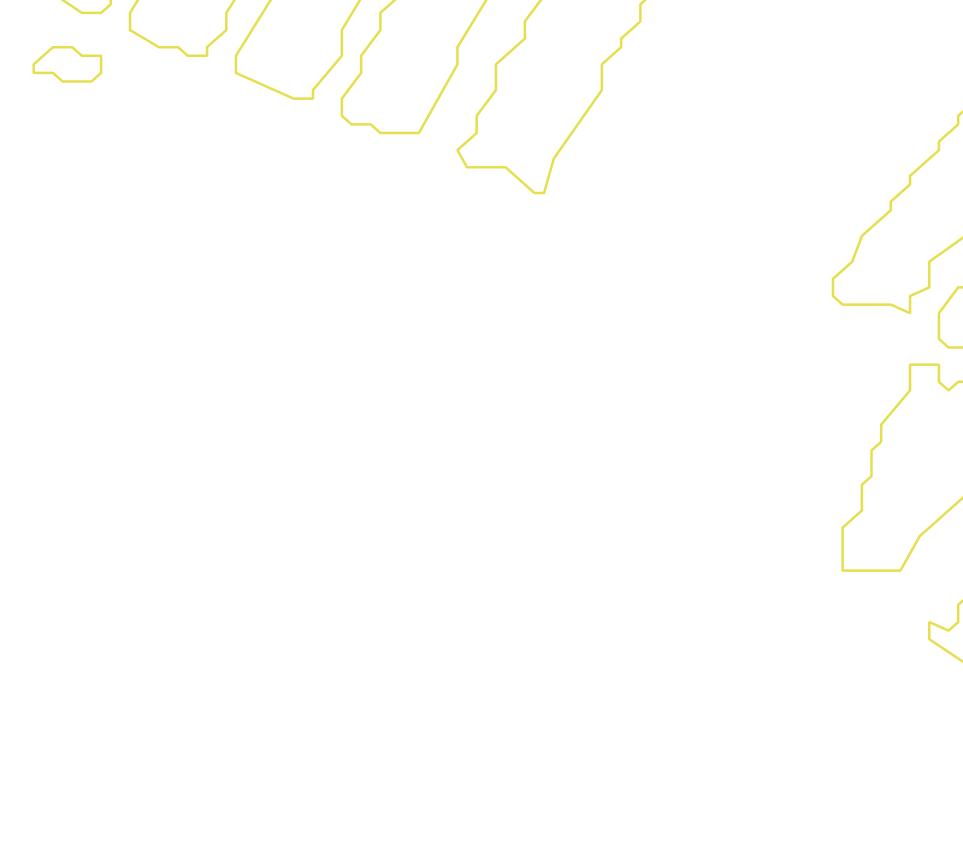 Daksegment met contourlijnen en structuurweergave