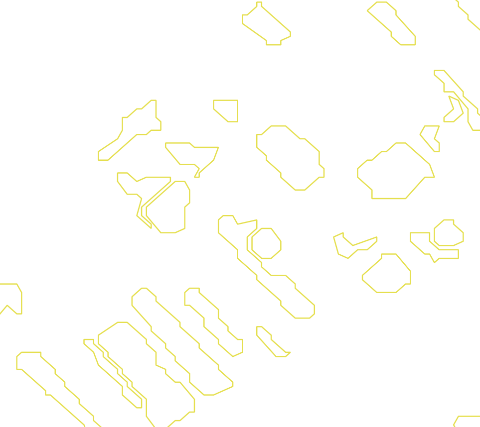 Daksegment met contourlijnen en structuurweergave