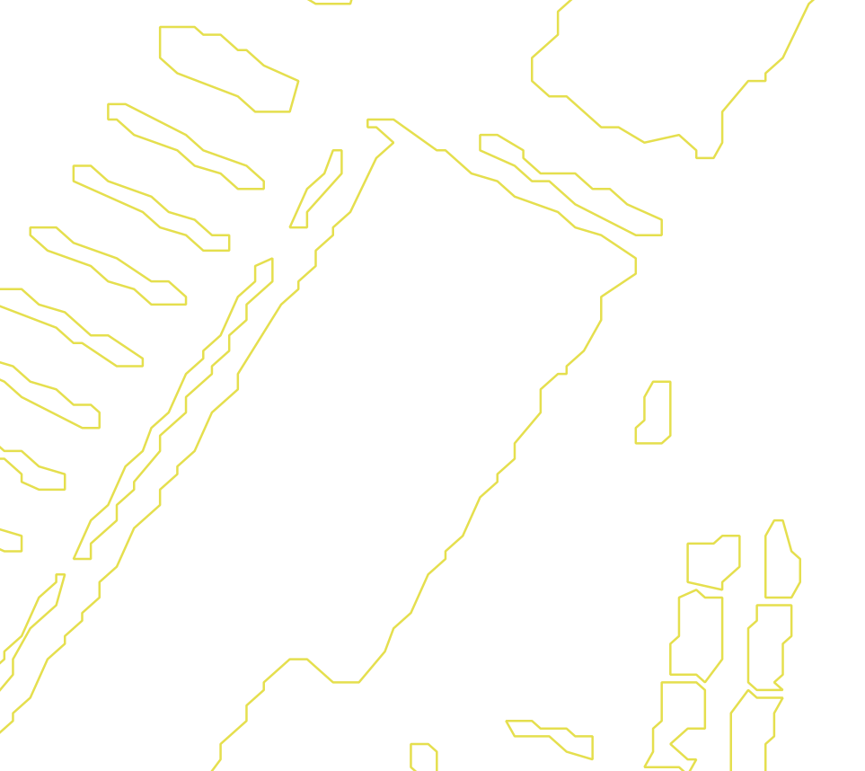 Daksegment met contourlijnen en structuurweergave